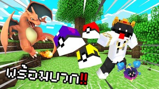 แจกของแบบนี้เข้าเกมมา ก็พร้อมออกไปจับ Pokemon Fancy Pixelmon | Minecraft Servers Pixelmon