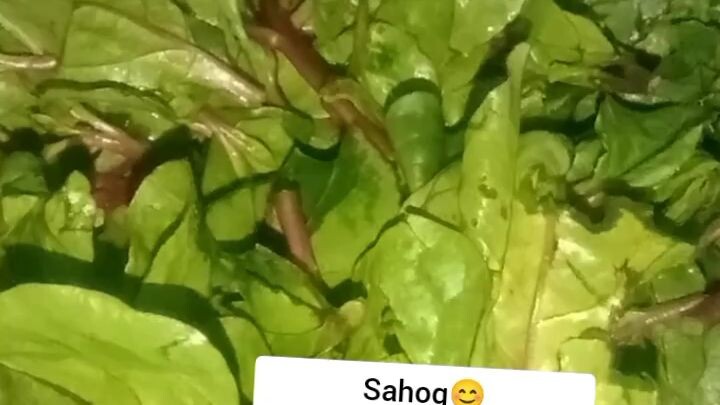monggo with alukbati 😊