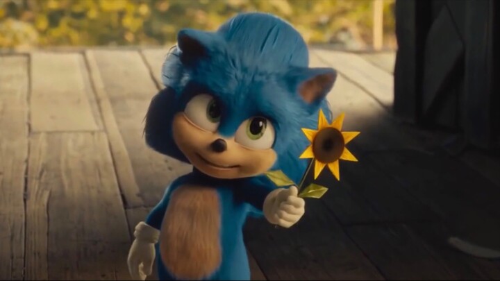 Sonic AMV - Something in the Water