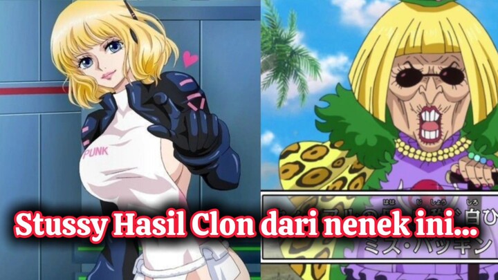 Ga nyangka Si Cantik dan menarik Stussy