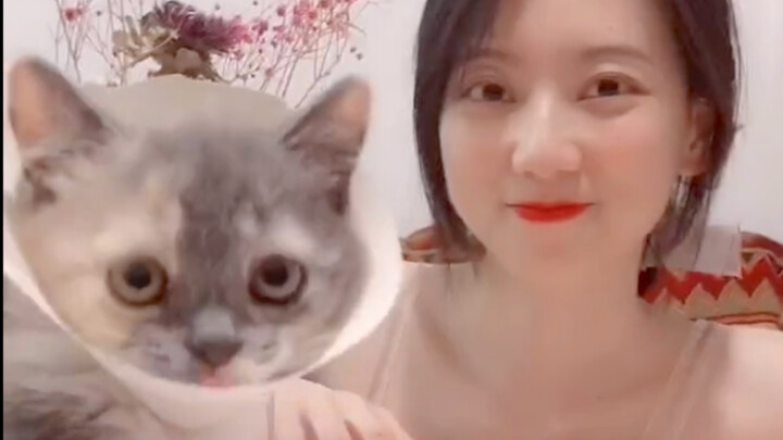 Benar-benar perempuan berubah drastis saat dewasa (rekaman langka kucing kecil Xiao Mei saat pertama