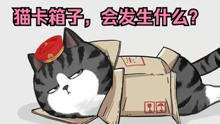 猫+纸箱=？【吾皇巴扎黑】