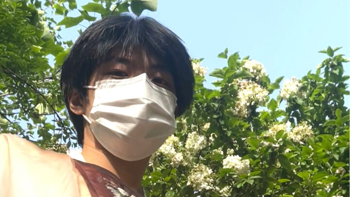 I want to buy some osmanthus flowers and put them in the wine, but it doesn't feel like the days whe