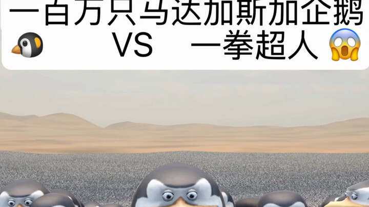 เพนกวินมาดากัสการ์หนึ่งล้านตัวจะเอาชนะวันพันช์แมนได้ไหม?