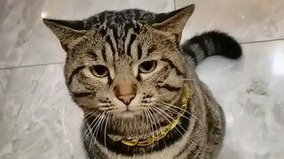 Sebaiknya pacar yang mempunyai sifat pemarah seperti ini segera diganti.