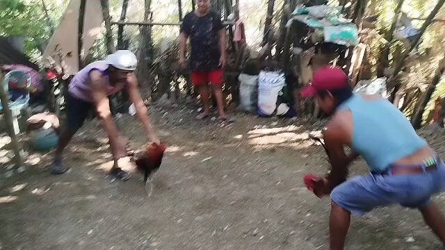 labuyo line winner
