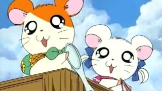 Hamtaro แฮมทาโร่ แก๊งจิ๋วผจญภัย ตอนพิเศษ: ตะลุยขุมทรัพย์มหัศจรรย์