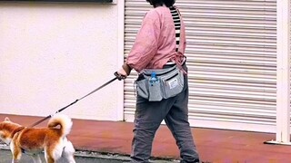 Tur Tanah Suci Pemuda Bola Voli |. Bab Kota Karumi