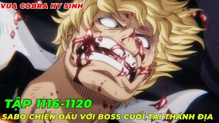 REVIEW ANIME ONE PIECE TẬP 1116-1120 l NGŨ LÃO TINH VÀ IMU BIẾN HÌNH I CUỘC ĐÀO TẨU CỦA SA. D BO