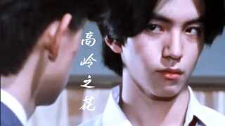 《论高岭之花的真香》高冷病娇×热情小狗