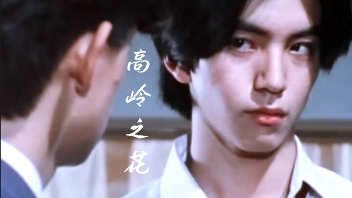 《ว่าด้วยความหอมจริงของดอกไม้บนยอดเขาสูง》โรคเย็นชาจิตใจป่วย × ลูกสุนัขแสนร้อนแรง