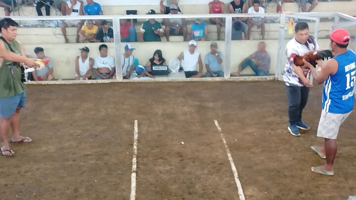 swite blues imported line