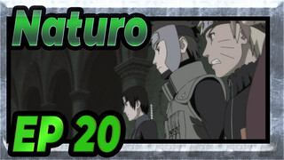 Naturo
EP 20_D