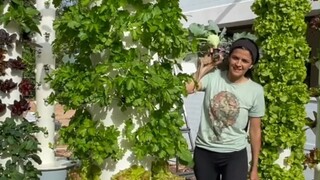 Learn about the "Tower Garden" for soilless cultivation