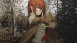 [Steins;Gate/Plot to MAD] Crossing countless world lines this time I'm going to save everyone! "El Psy Congroo"