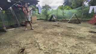 Alimbuyugin vs lemon sweater