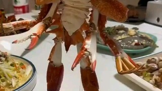 craboutobots