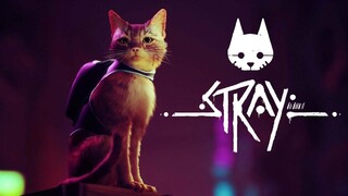 STRAY | FULL GAME MOVIE