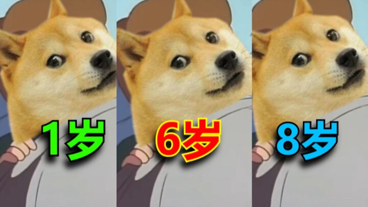 [Not for the faint of heart!] What’s a dog really thinking from puppyhood to adulthood?