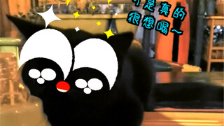 This little black cat was actually about to "turn evil"—thankfully, I managed to stop it!