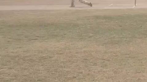 Century 🏏🏏    cricket lover♥️