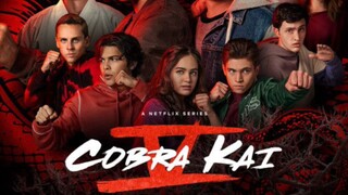 Cobra Kai Season 4 Episode 5 In Hindi Dub