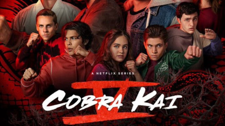 Cobra Kai Season 4 Episode 5 In Hindi Dub