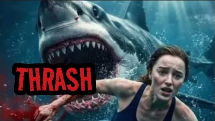 THRASH 2026, Film Shark To Town