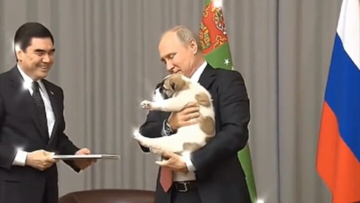 พระเจ้าปูติน: ลูกหมาจะถูกอุ้มแบบนี้ได้ยังไงกัน?