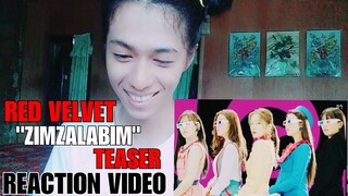 RED VELVET "Zimzalabim" TEASER REACTION VIDEO