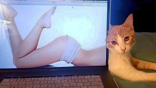 Tổng hợp video thú vị từ nước ngoài, xem xong cảm thấy cả thế giới đều thật vui vẻ! #114