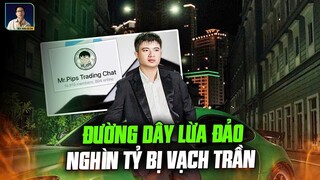 MR.PIPS VÀ ĐƯỜNG DÂY LỪA ĐẢO 5000 TỶ: CÁI KẾT CHO TIKTOKER PHÔNG BẠT LÙA GÀ