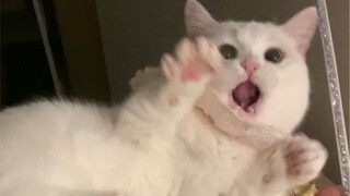 Ah!! My treasure!!!!