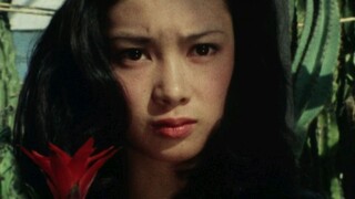 Kamen Rider Stronger Intro