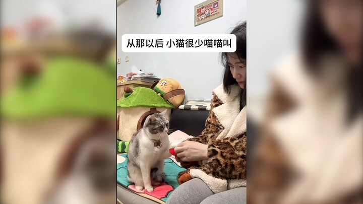 Chủ nhân của mèo con không nghe thấy tiếng, thế là mèo con đã sáng tạo ra thứ ngôn ngữ ký hiệu của r