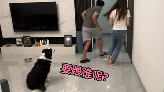 男女主人分开跑，看看狗子会跟谁？