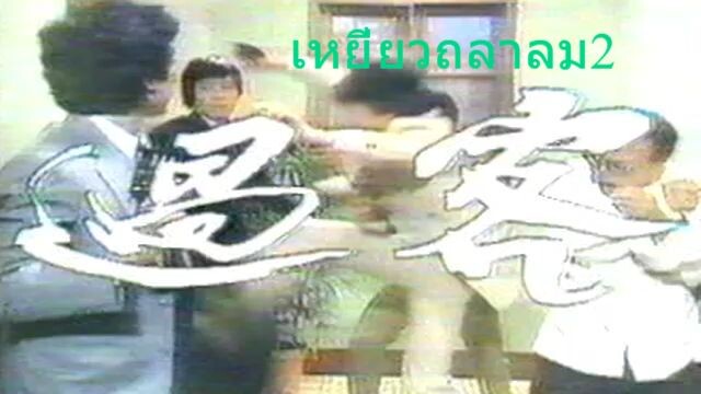 เหยี่ยวถลาลม2