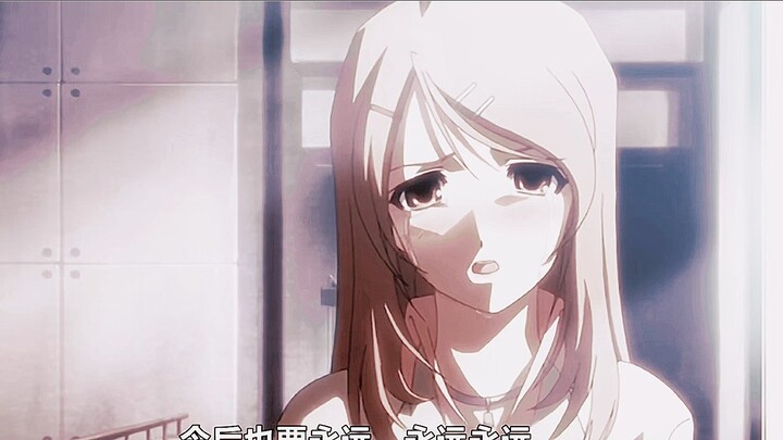 Lubang Bunga Lili Saya