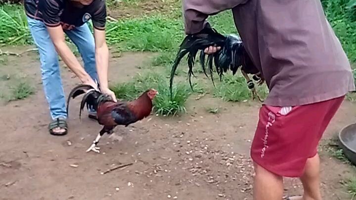 8months old Pedi na Kya to sa Dec.