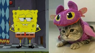 Spongebob | Kucing Cemot | Bahasa Jawa