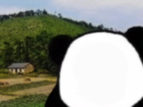 [หัวดั้งเดิม/แพนด้า] อี้ซาน