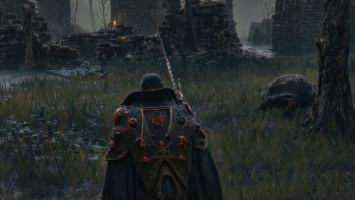 Elden Ring DLSS 5 is Amazing