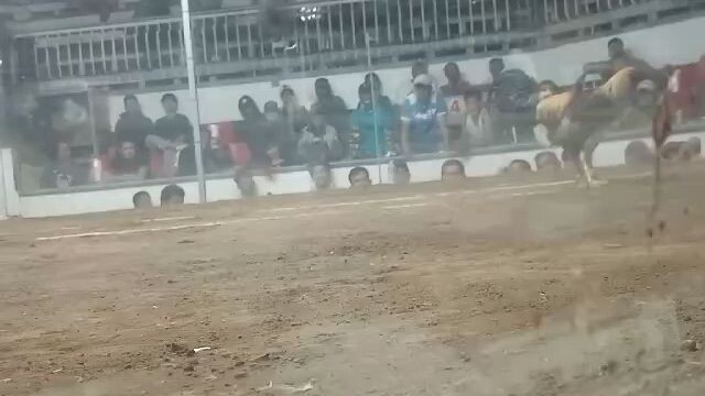 Sample of android conditioning, Suka Ng dugo at tama sa leeg. No problem.