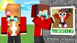 Missing Baby Maizen - Sad Story in Minecraft (JJ and Mikey)