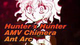 Still-frame AMV | Wrath and Light (Chimera Ant arc) Hunter x Hunter | Senriyama joshi