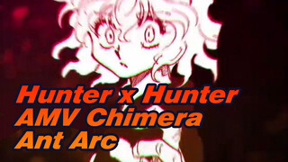 Hunter x Hunter AMV
Chimera Ant Arc