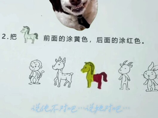 My cerebellum has atrophied... Elementary school homework is seriously hilarious!