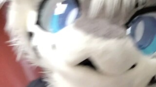 معناه غير واضح~