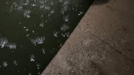 You can now try lure fishing in the school pond.
