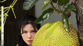 [RAP] - LƯƠNG HỎNG TĂNG